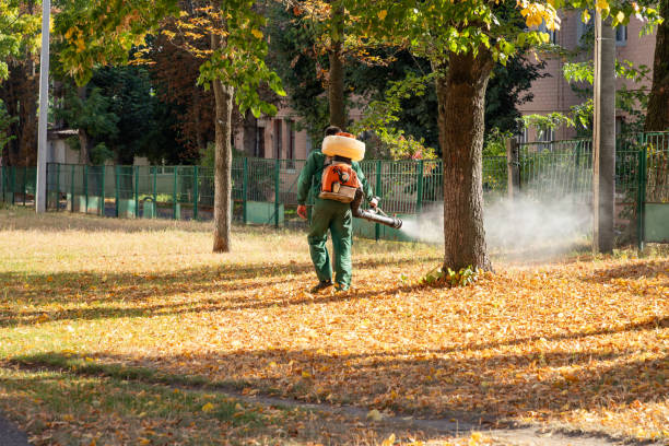 Best Flea Control Services  in Nags Head, NC